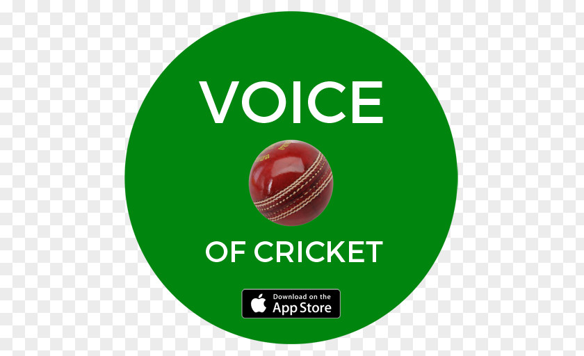 Cricket Mortgage Calculator Logo Sans-serif Service Font PNG