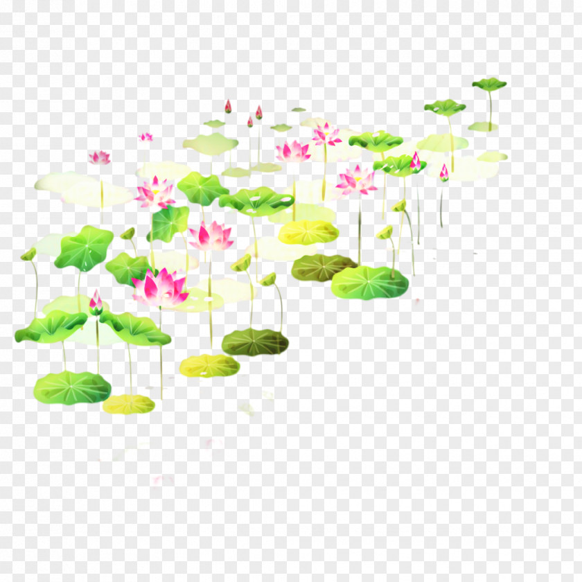 Floral Design Desktop Wallpaper Water Product PNG