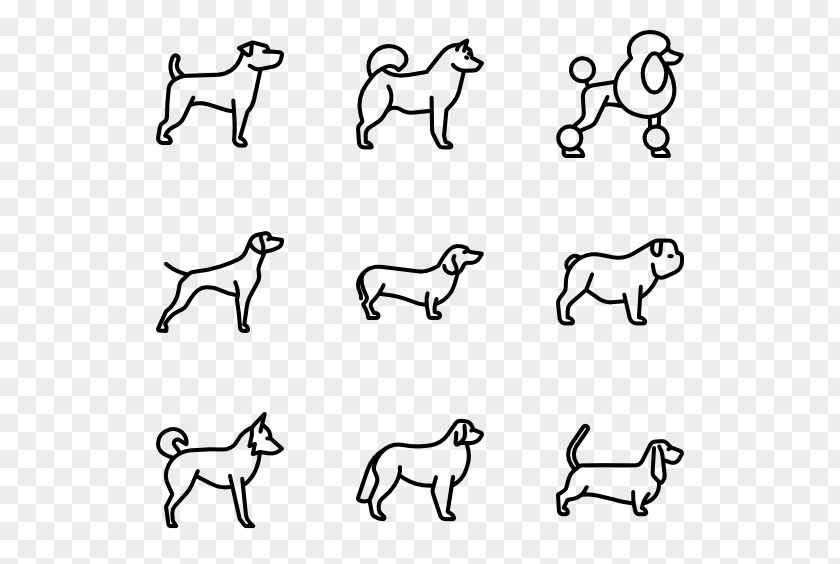 Training Vector Dog Drawing Line Art PNG