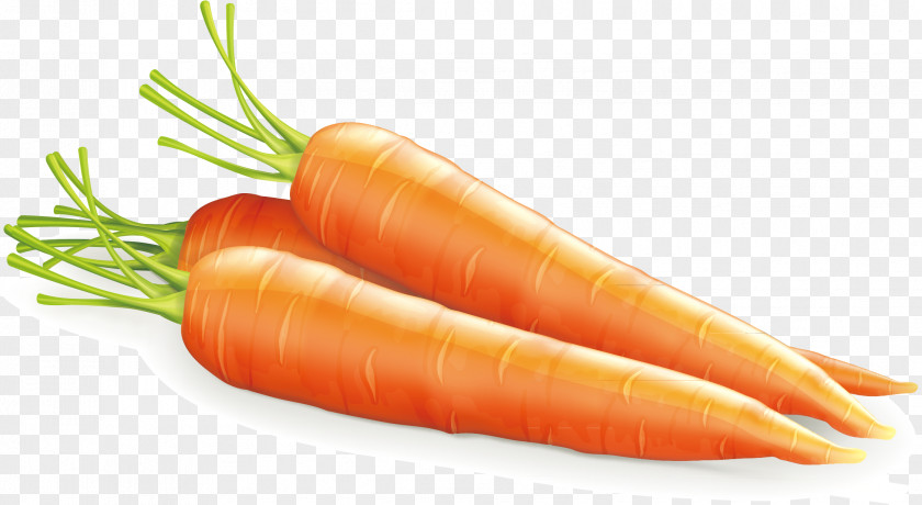Carrot Decorative Material Baby Vegetable Agriculture Simulation PNG
