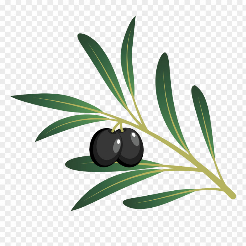 Cartoon Black Olives Olive Oil PNG