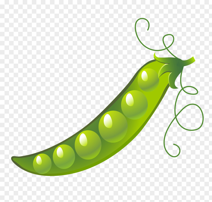 Grado Snow Pea Green Bean Vegetable Image PNG