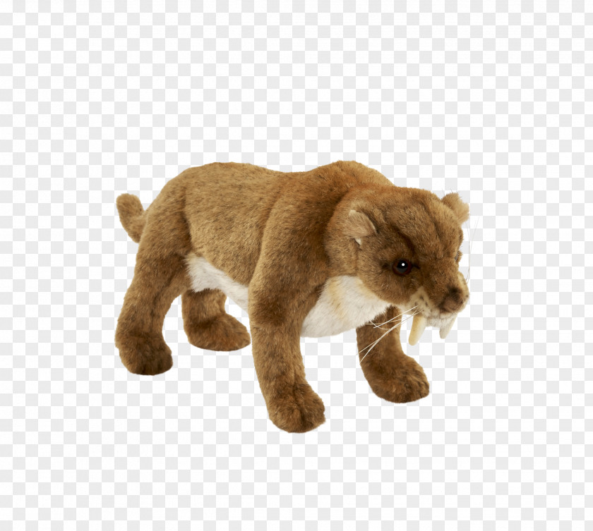 Lion Cougar Saber-toothed Cat Tiger PNG