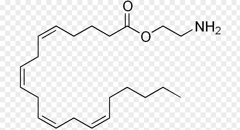 Phenylalanine Tryptophan Methyl Group Amino Acid PNG