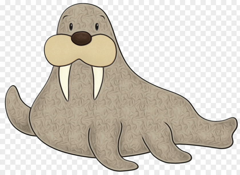 Seal Walrus Cartoon Earless California Sea Lion PNG