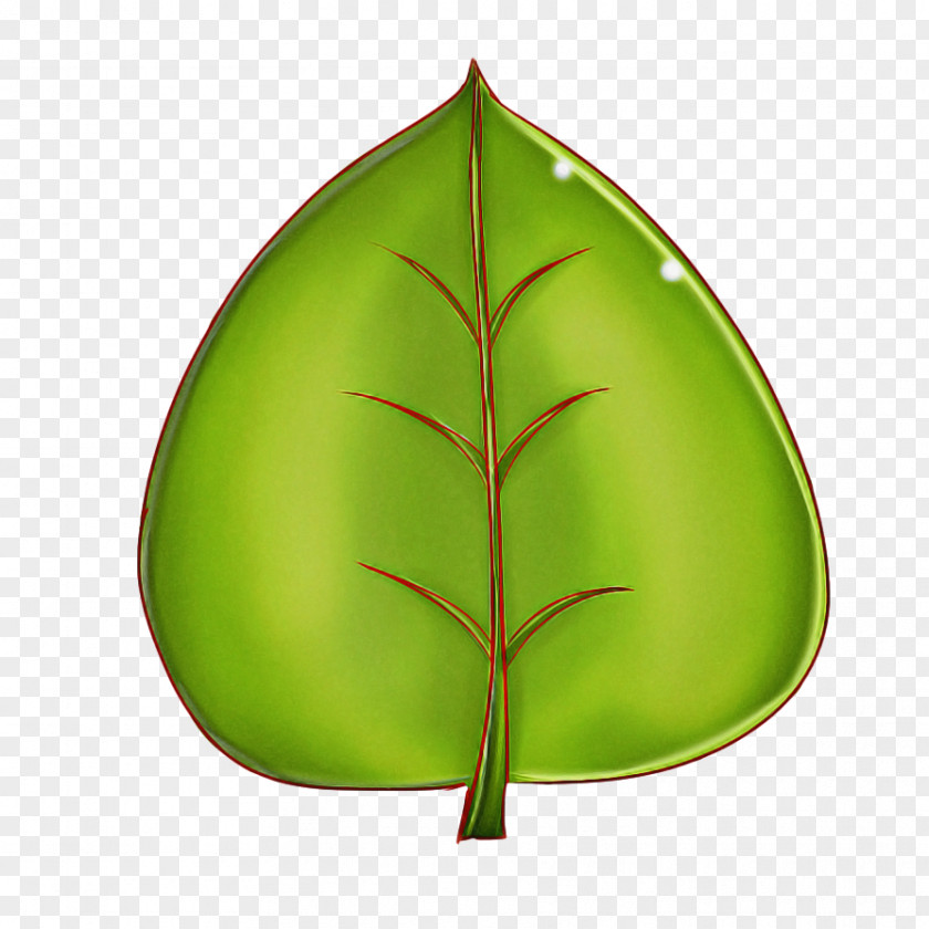 Tree Plant Leaf Green PNG