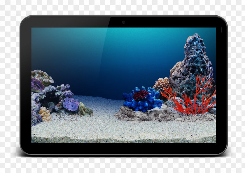 Undersea Coral Reef Aquariums Cobalt Blue PNG