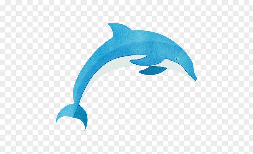 Animal Figure Common Dolphins Dolphin Bottlenose Fin Marine Mammal PNG