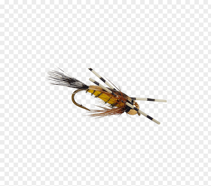 Flying Nymph Artificial Fly Fishing Worm Insect PNG