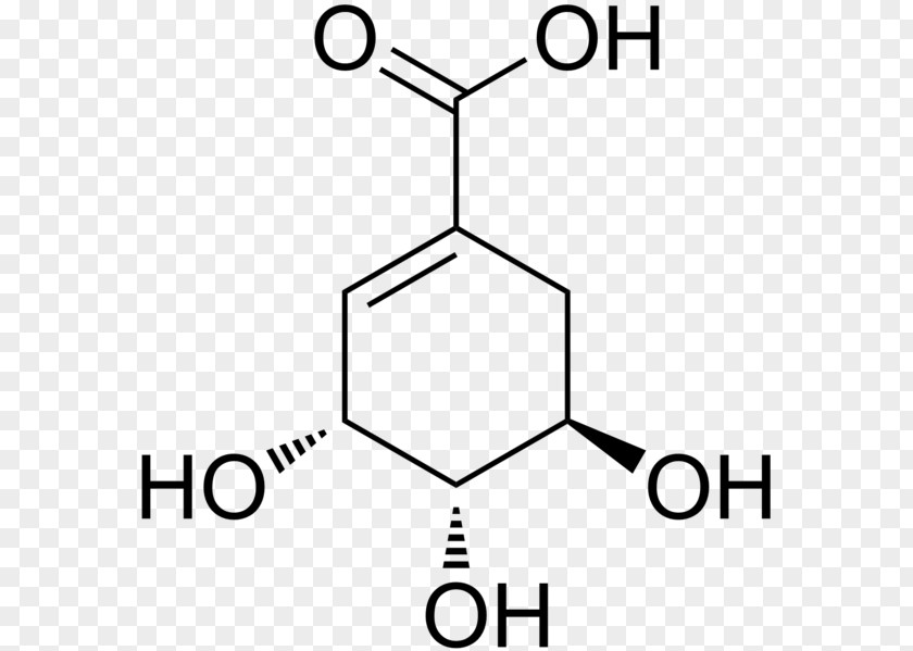 Illicium Verum Shikimic Acid Shikimate Pathway Chemical Compound Chemistry PNG