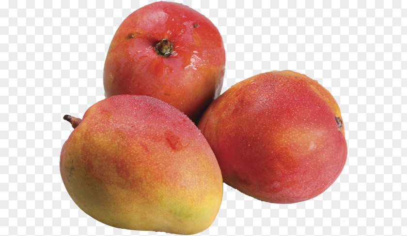 Mangas Mango Fruit Tommy Atkins Guava Food PNG