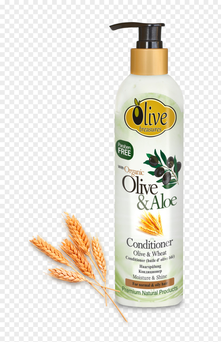 Olive Oil Hair Products Lotion Shampoo Conditioner Skin PNG