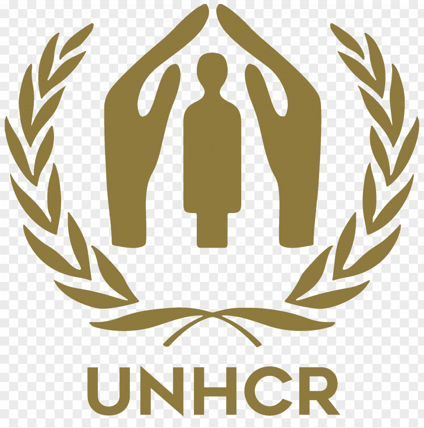 Refugee United Nations High Commissioner For Refugees Human Rights Council Asylum Seeker PNG