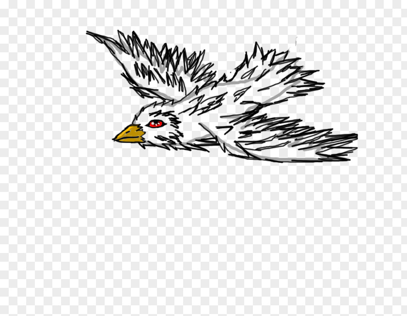 Seagull Bird Chicken Line Art PNG