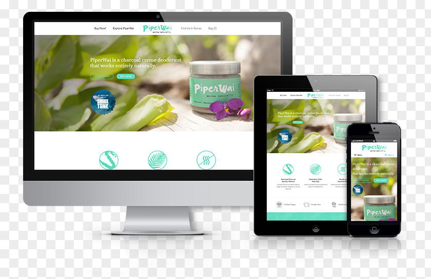 Seaweed Nori Website Development Web Page Responsive Design PNG