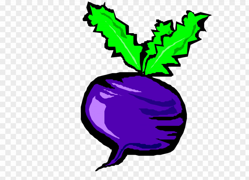 Creative Hand-painted Purple Eggplant Vegetable Drawing Painting PNG