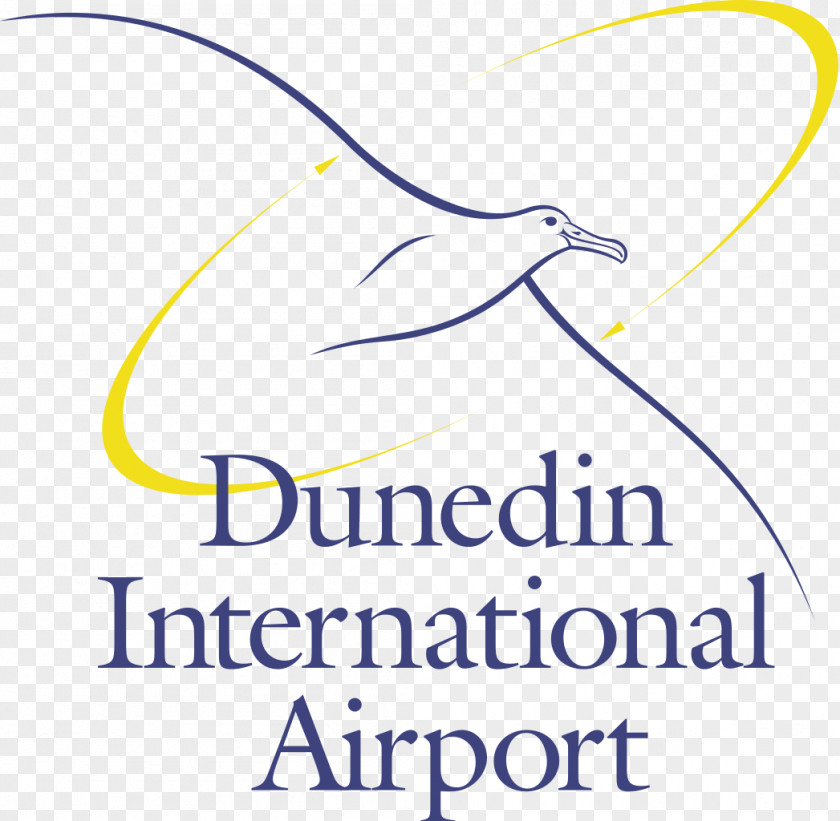 Dunedin Airport Landing International PNG