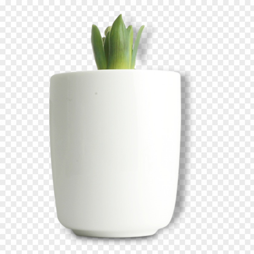 Ornamental Potted Aloe Pull Material Free Bonsai Flowerpot PNG