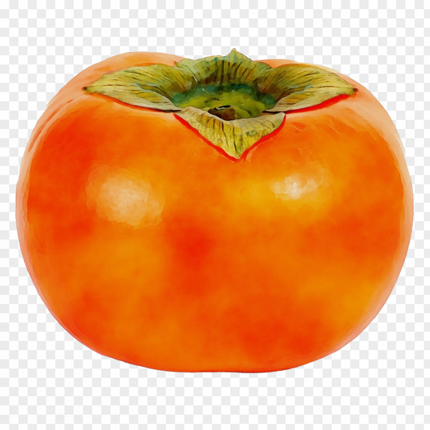 Tomato PNG