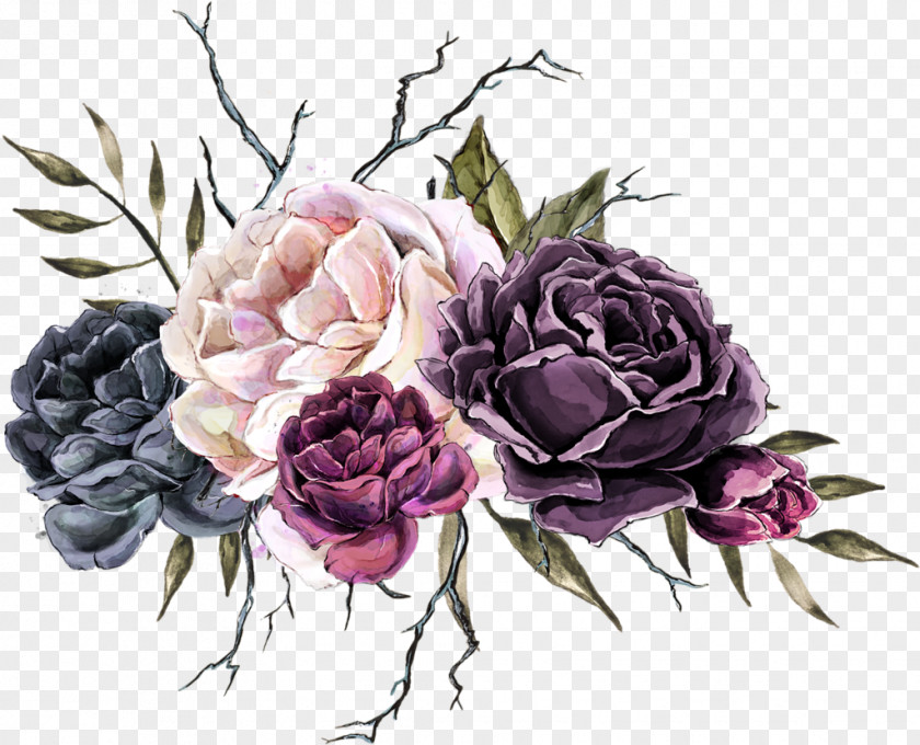 Design Cabbage Rose Garden Roses Cut Flowers PNG