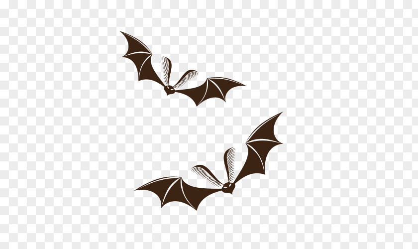 Halloween Bat Frame Jack-o-lantern PNG