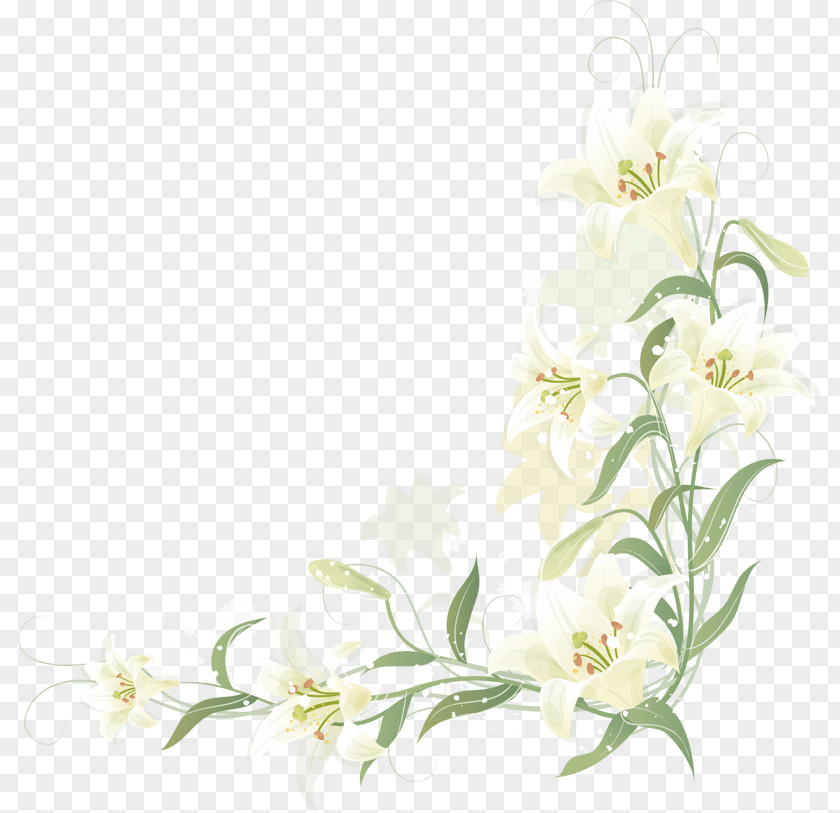 Lily Border Floral Design Cut Flowers Image Clip Art PNG