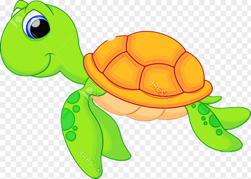 Sea Turtles Tortoise M Cartoon Yellow PNG