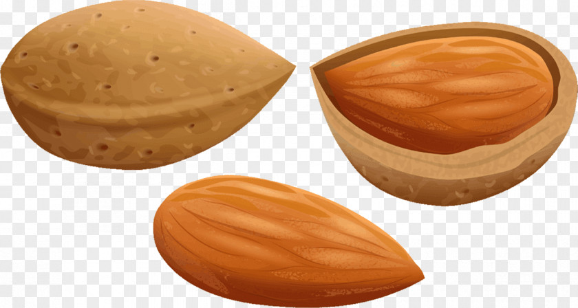 Almond Oil Praline Nut Food PNG