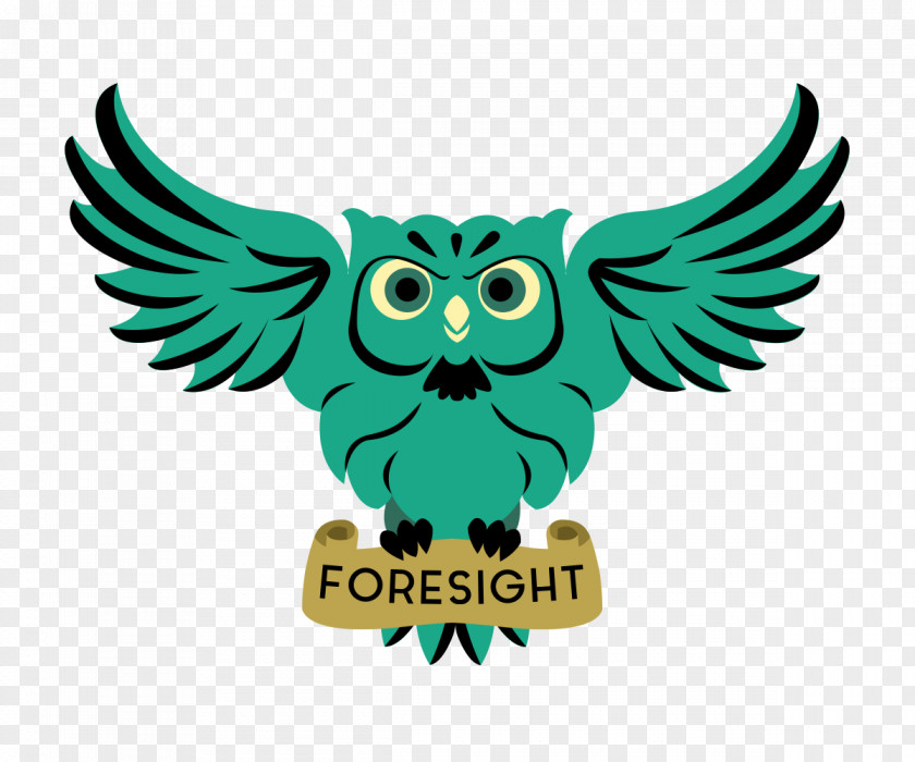 Barn Owl Bird Logo Download PNG