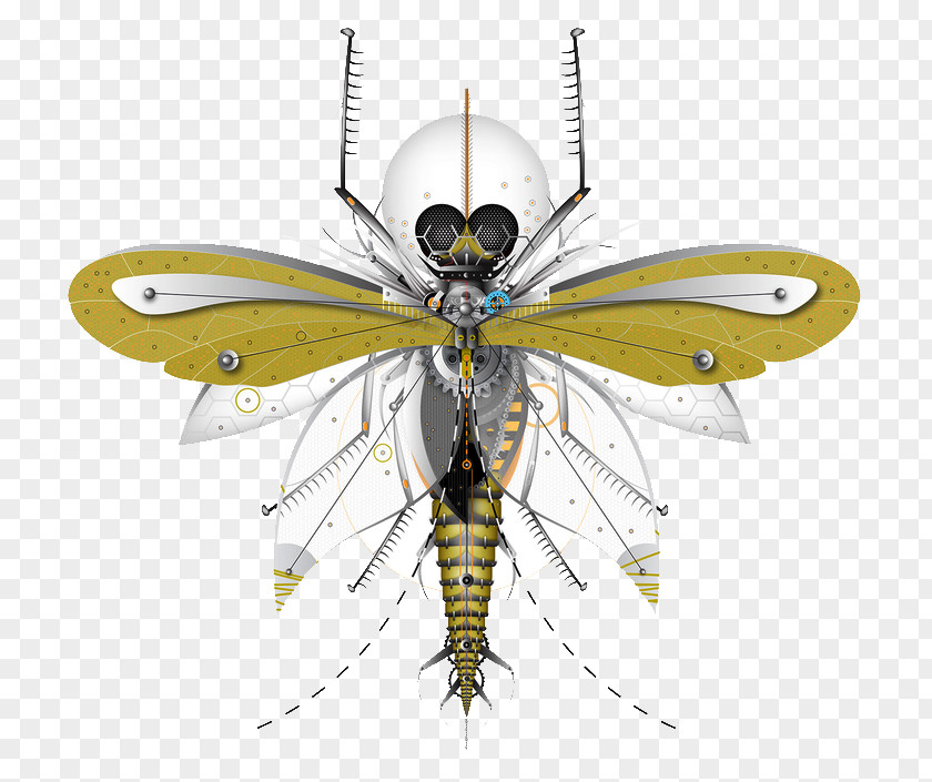 Dragonfly Robotic Insects Bee Insect Mechanical Engineering PNG