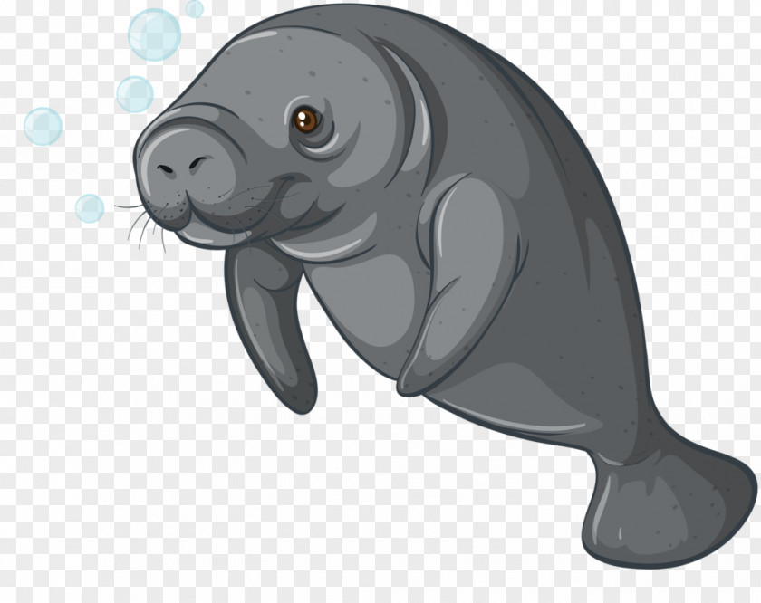 Layout Sea Cows Steller's Cow Dugong Royalty-free PNG