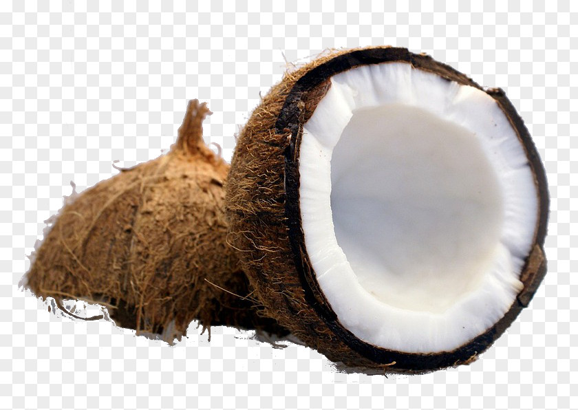 Milk Coconut Sri Lankan Cuisine Water Cream PNG