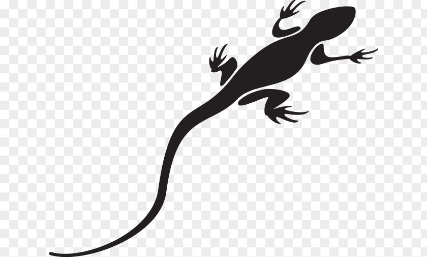 True Salamanders And Newts Tail Lizard PNG