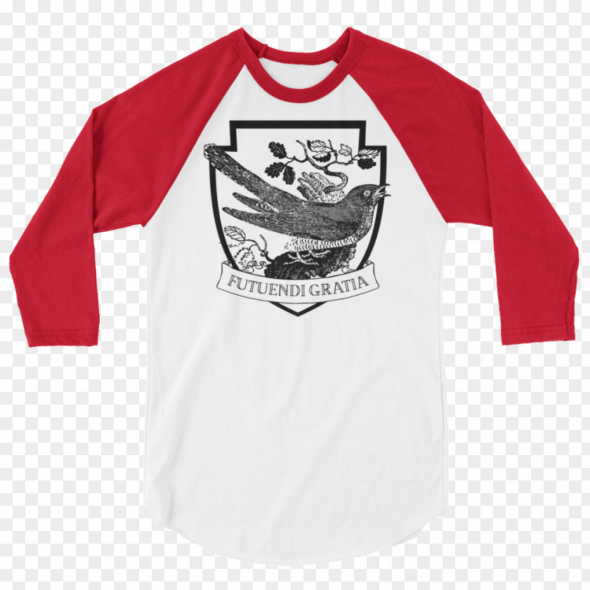 Tshirt Long-sleeved T-shirt Raglan Sleeve PNG