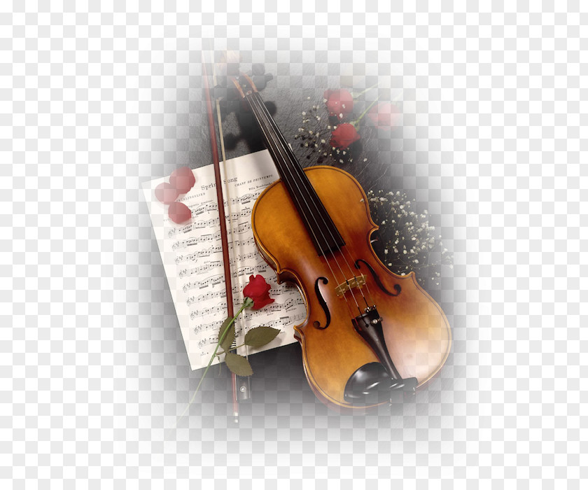 Violin Musical Instruments Desktop Wallpaper PNG