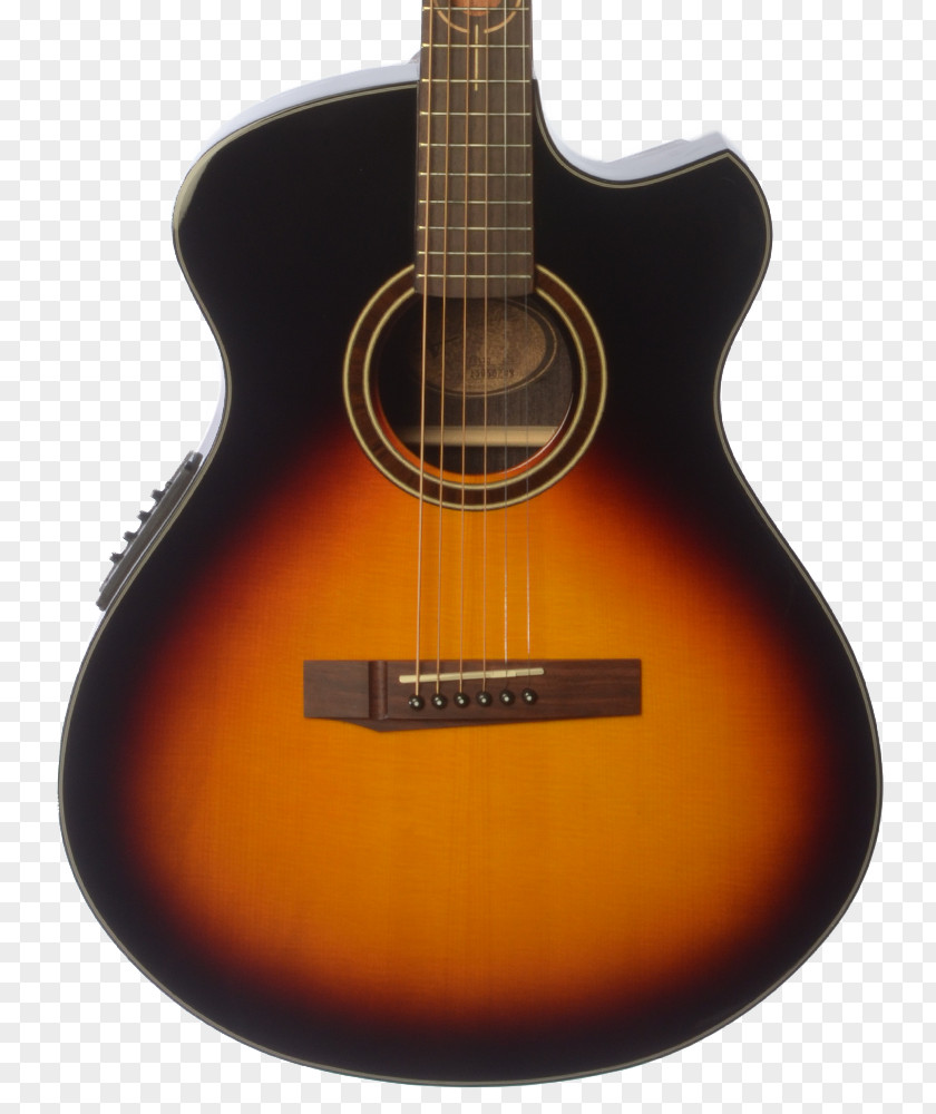 Acoustic Guitar Acoustic-electric Tiple Bass PNG