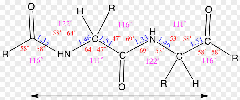 Angle Amino Acid Bond Length Residue PNG