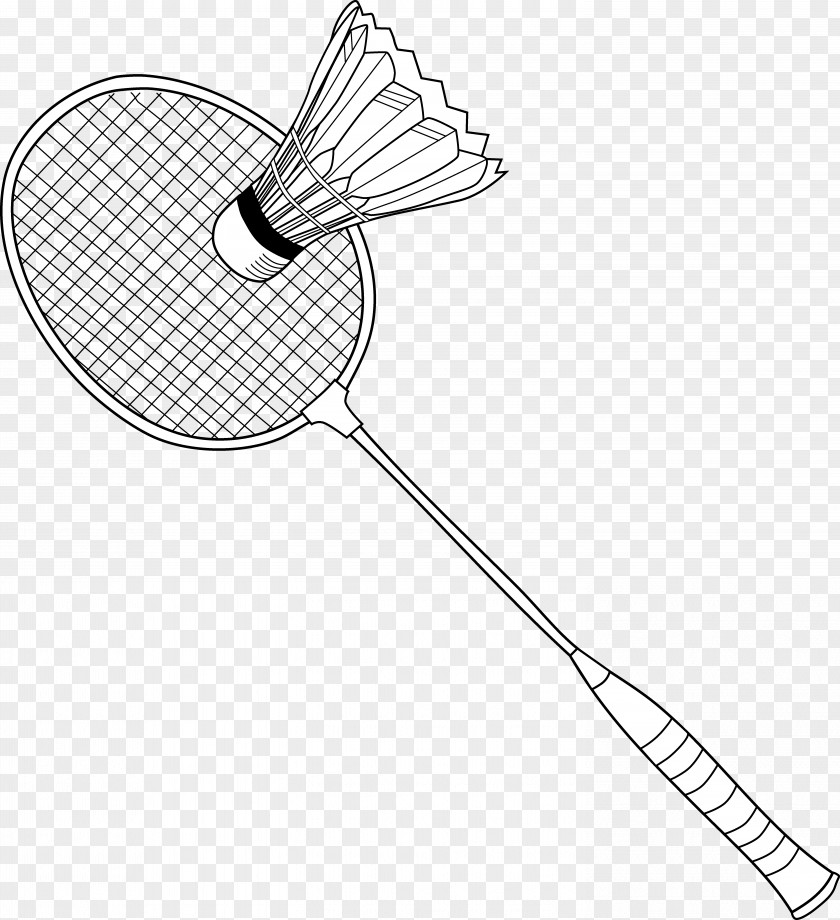 Badminton Badmintonracket Net Shuttlecock Clip Art PNG