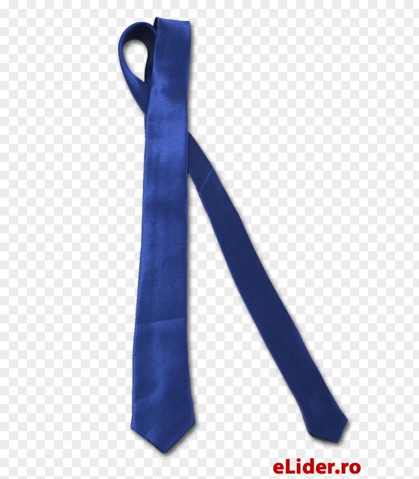 Papion Cobalt Blue Necktie PNG