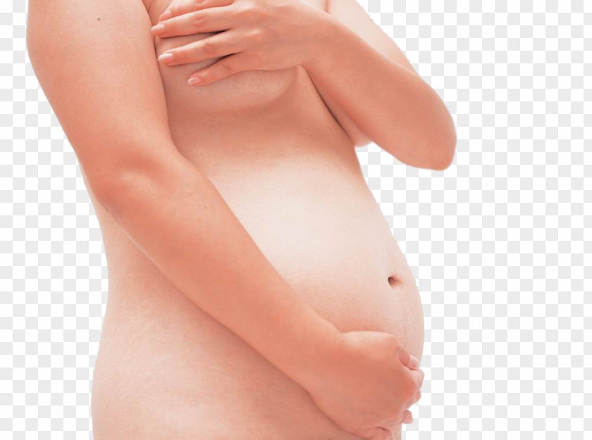 Pregnant Woman,belly,pregnancy,Mother,Pregnant Mother Pregnancy Abdomen Woman PNG