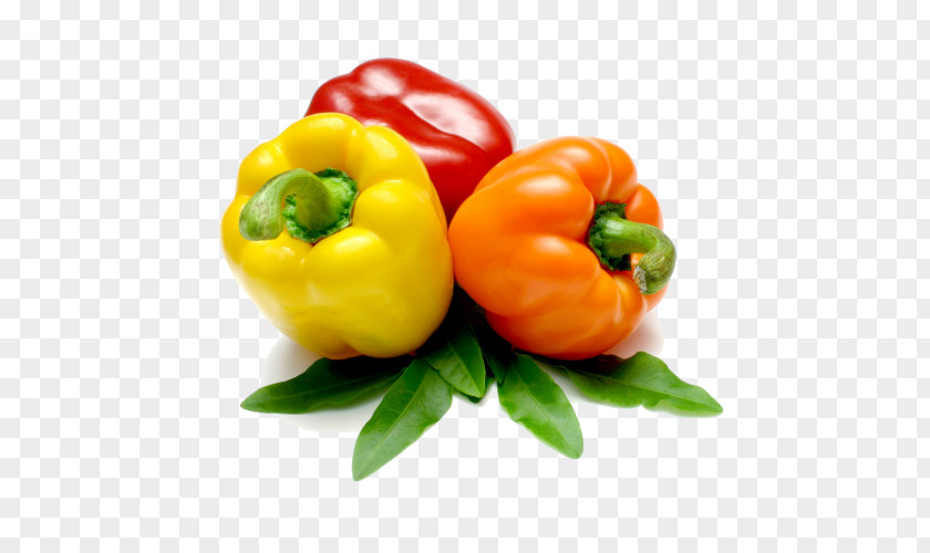 Vegetable Bell Pepper Stuffed Peppers Food Fruit PNG