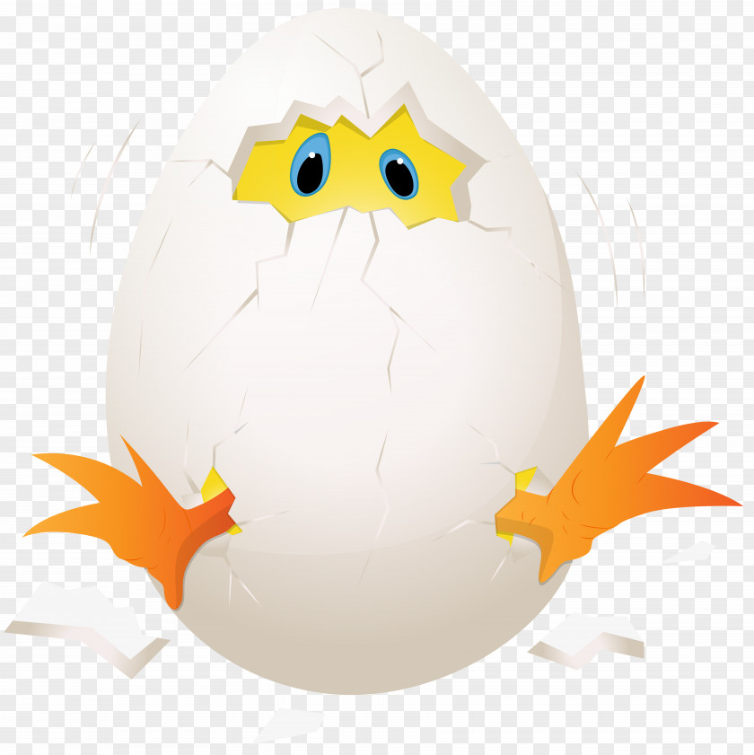 Chicken Clip Art Eggs Benedict PNG