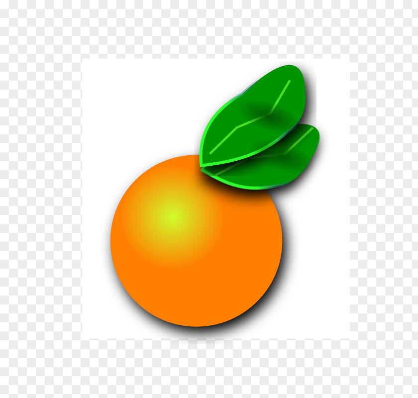 Orange County, Florida Citrus Clip Art PNG