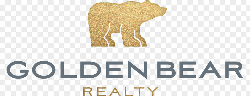 Real Bear NV Realty Group Estate Agent Logo PNG