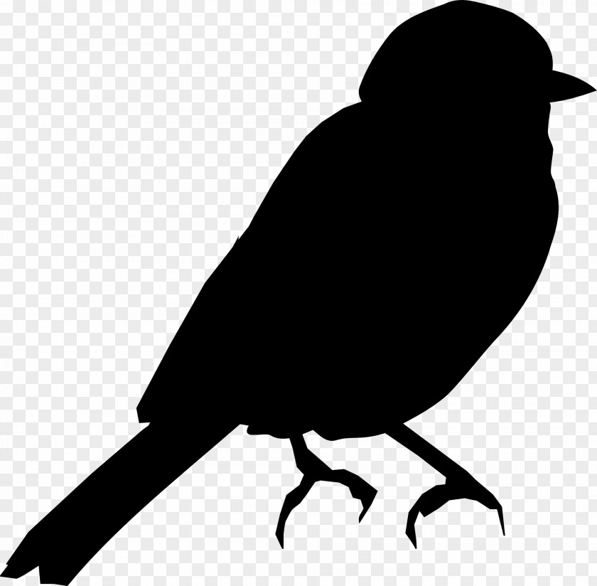 Bird Swallow Silhouette Clip Art Illustration PNG
