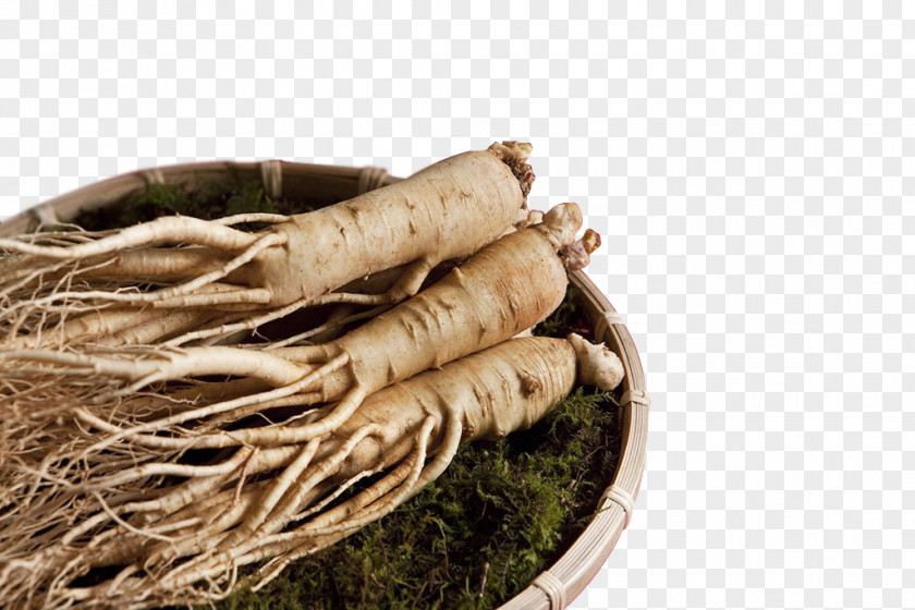 Health Medicine Food Asian Ginseng Aphrodisiac Spice .se PNG