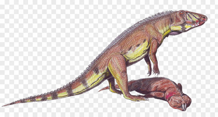 Painted Dinosaur Predator Ornithosuchus Crocodiles Pseudosuchia Lossiemouth Sandstone PNG