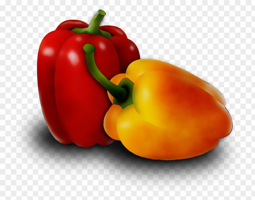 Plant Yellow Pepper Natural Foods Bell Pimiento Vegetable Peppers And Chili PNG