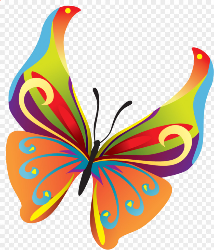 Teal Frame Butterfly Insect Clip Art PNG