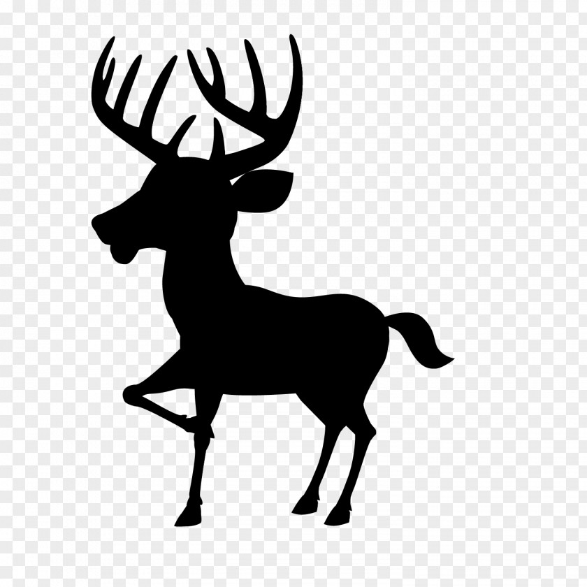 White-tailed Deer Vector Graphics Moose Clip Art PNG